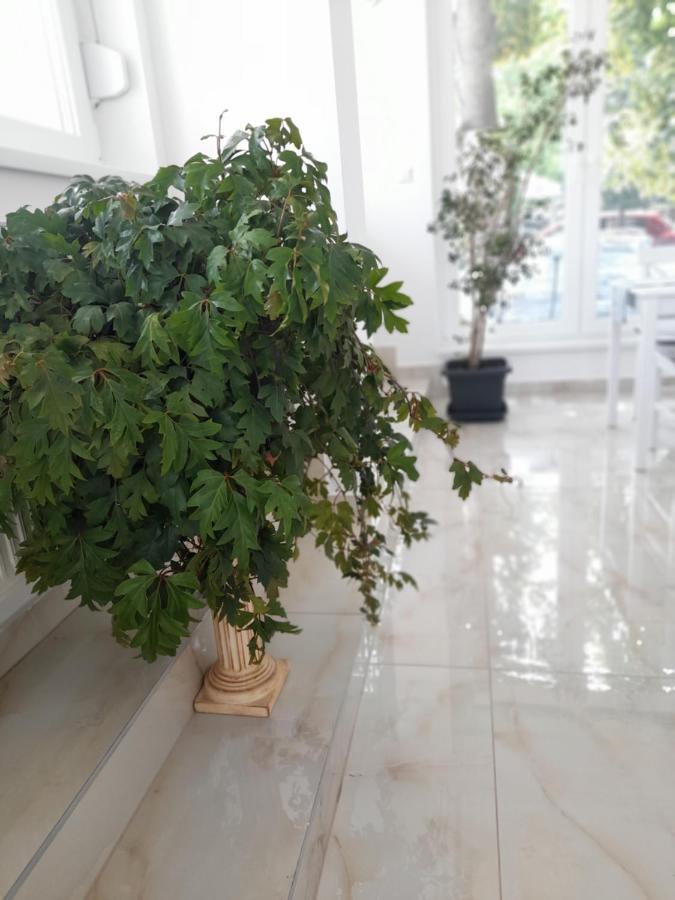 Hajdúszoboszló Orion Panzio B&B 외부 사진
